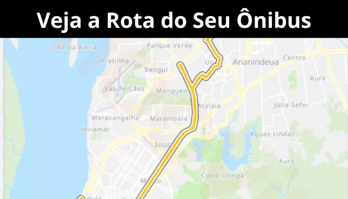 Veja Como Ver a Rota do seu Ônibus de Graça em Tempo Real